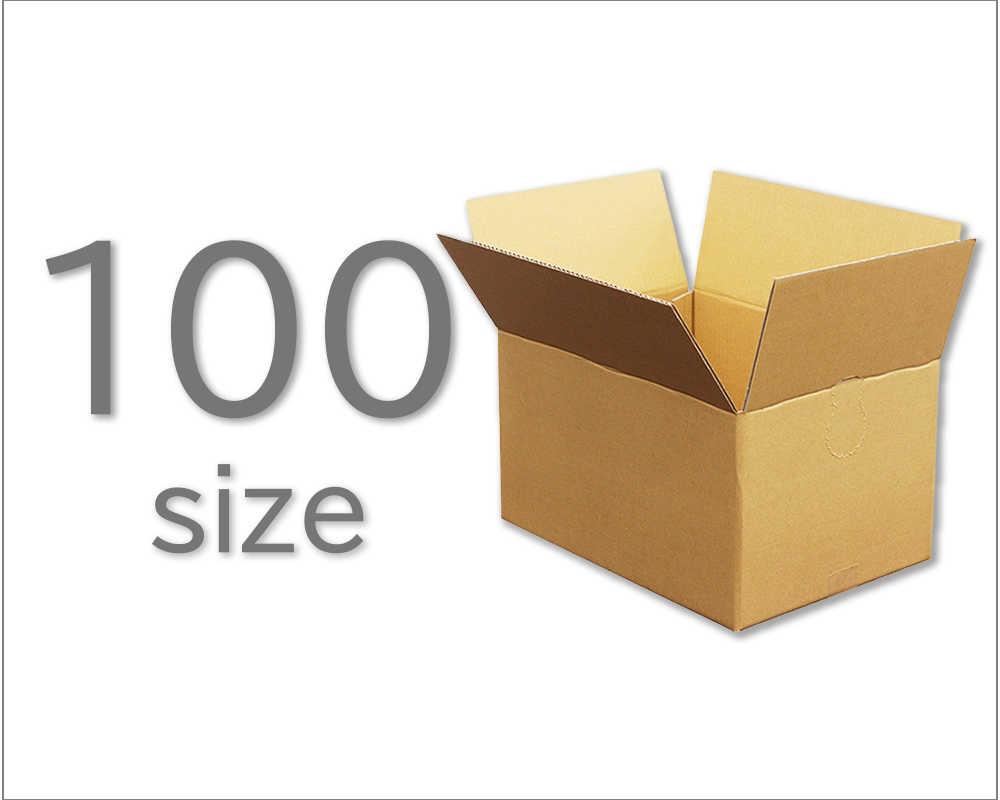 cat100-2.jpg