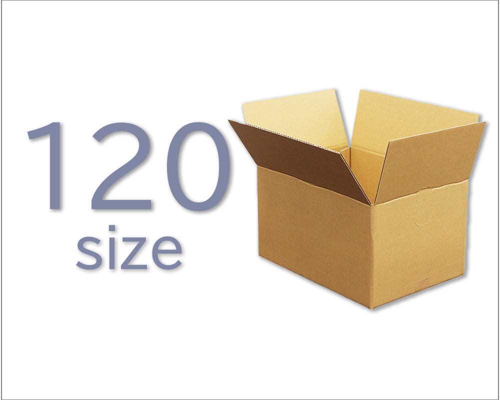 cat120-2.jpg