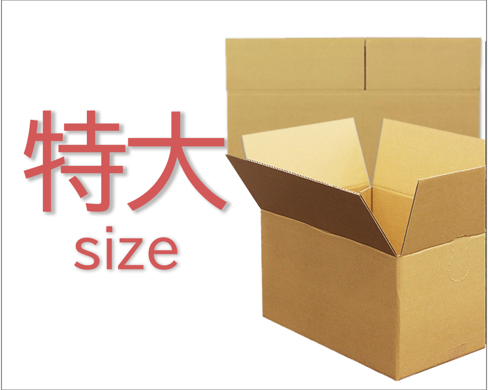 大型サイズ