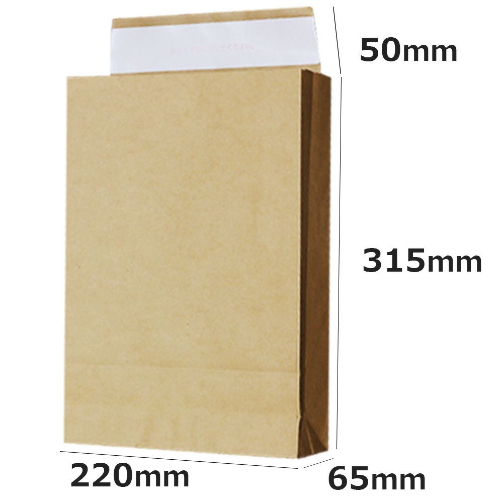 宅配袋A4サイズ