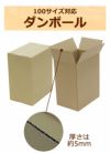 100サイズ縦長ダンボール画像