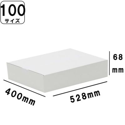 100サイズ白ダンボール画像