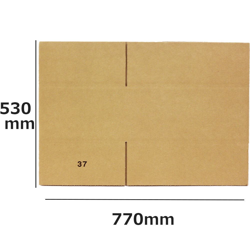 ダンボール100サイズ画像