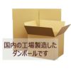 オーダーメイドダンボール100サイズ例