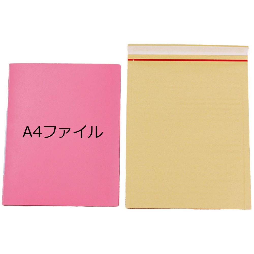 薄手のクッション封筒とA４ファイルを比べている画像